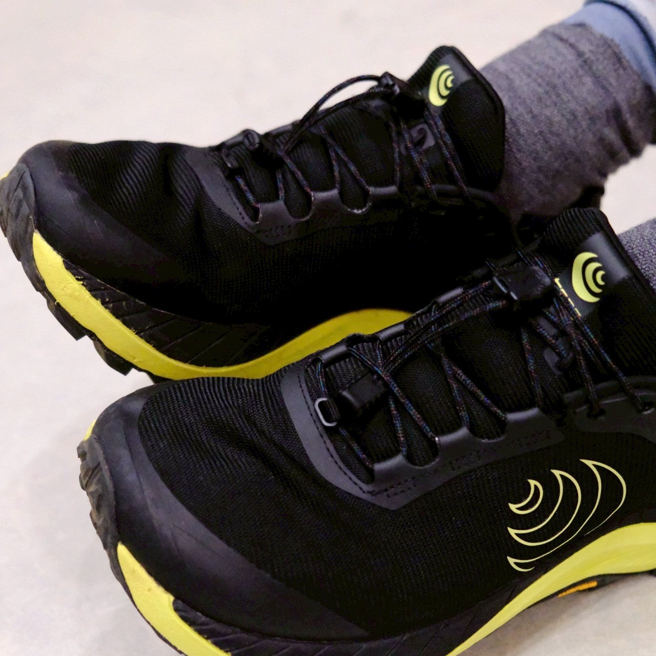 Proc shoe laces(120)(結ばないシューレース)【halo commodity】