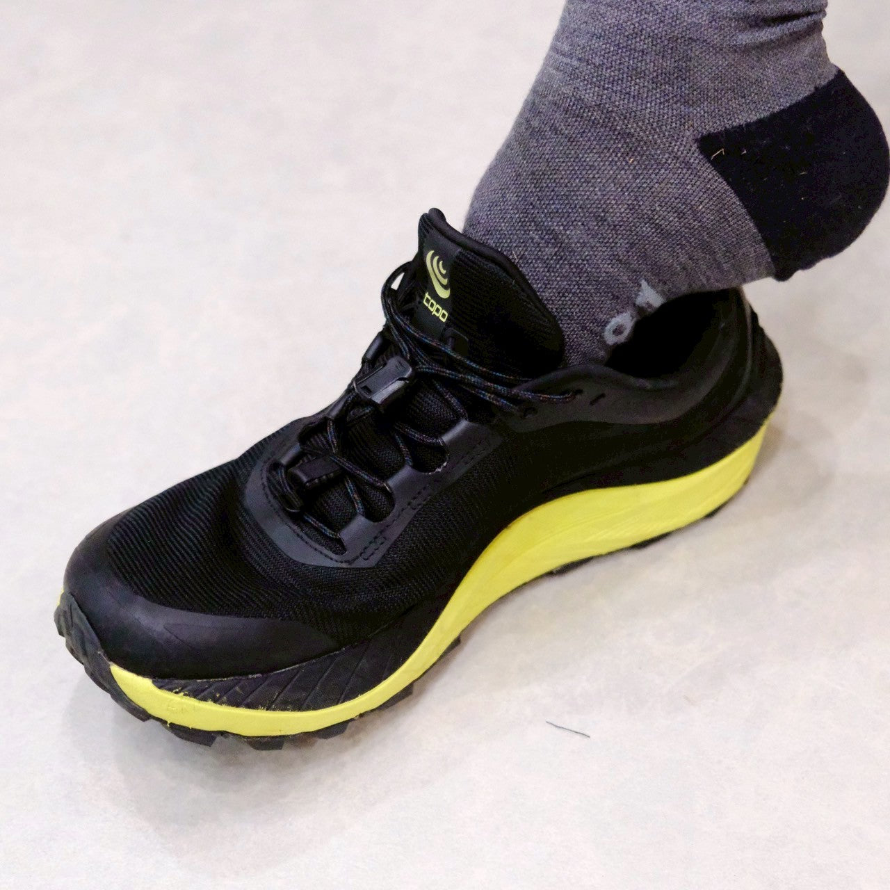 Proc shoe laces(120)(結ばないシューレース)【halo commodity】