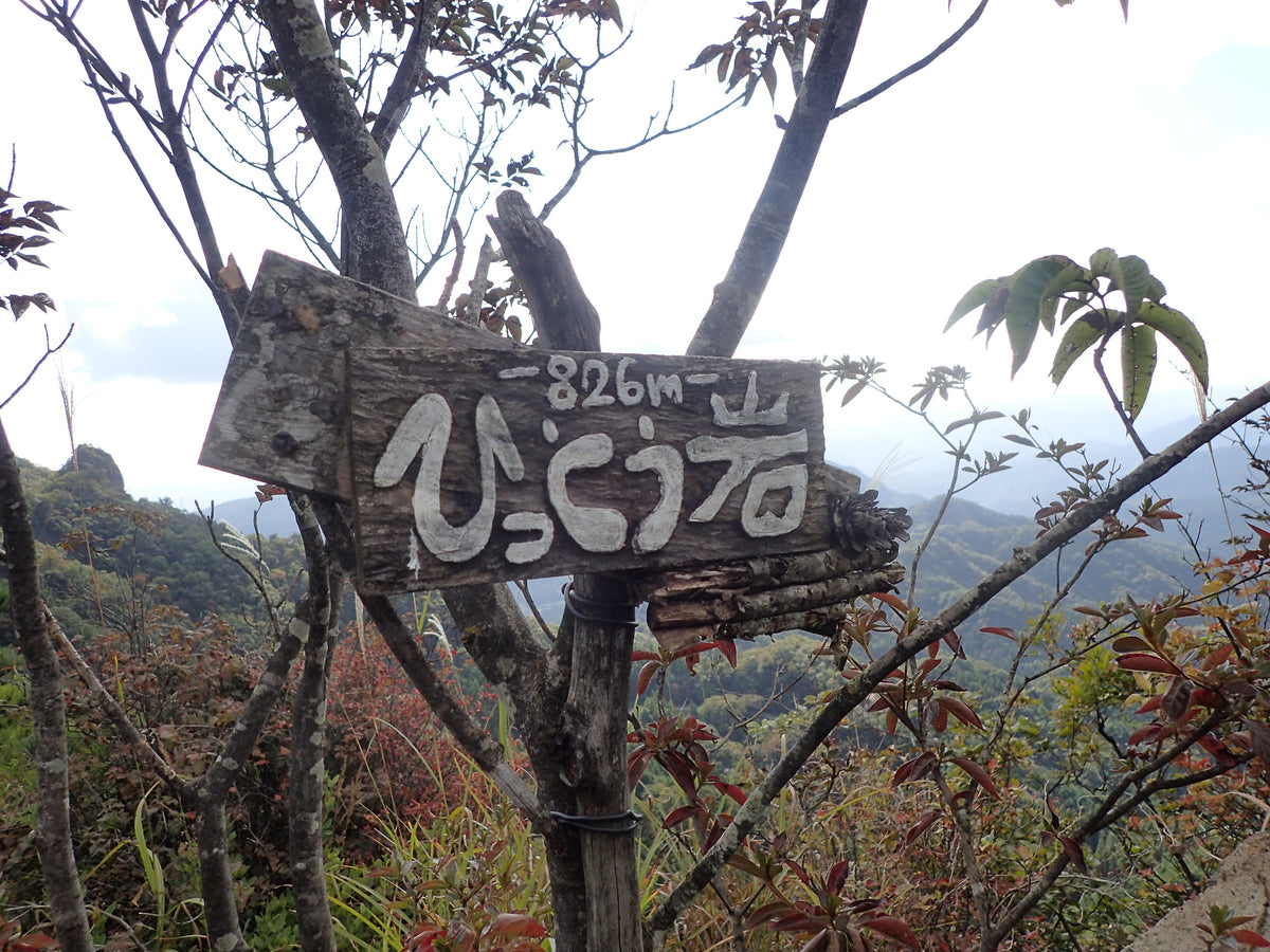 妙義山の地図にないルートを登ろう!岩登り 11月7日・8日(日帰り)【イベント】