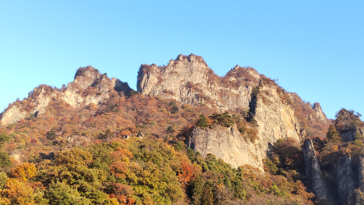 妙義山の地図にないルートを登ろう！岩登り　11月7日・8日（日帰り）【イベント】
