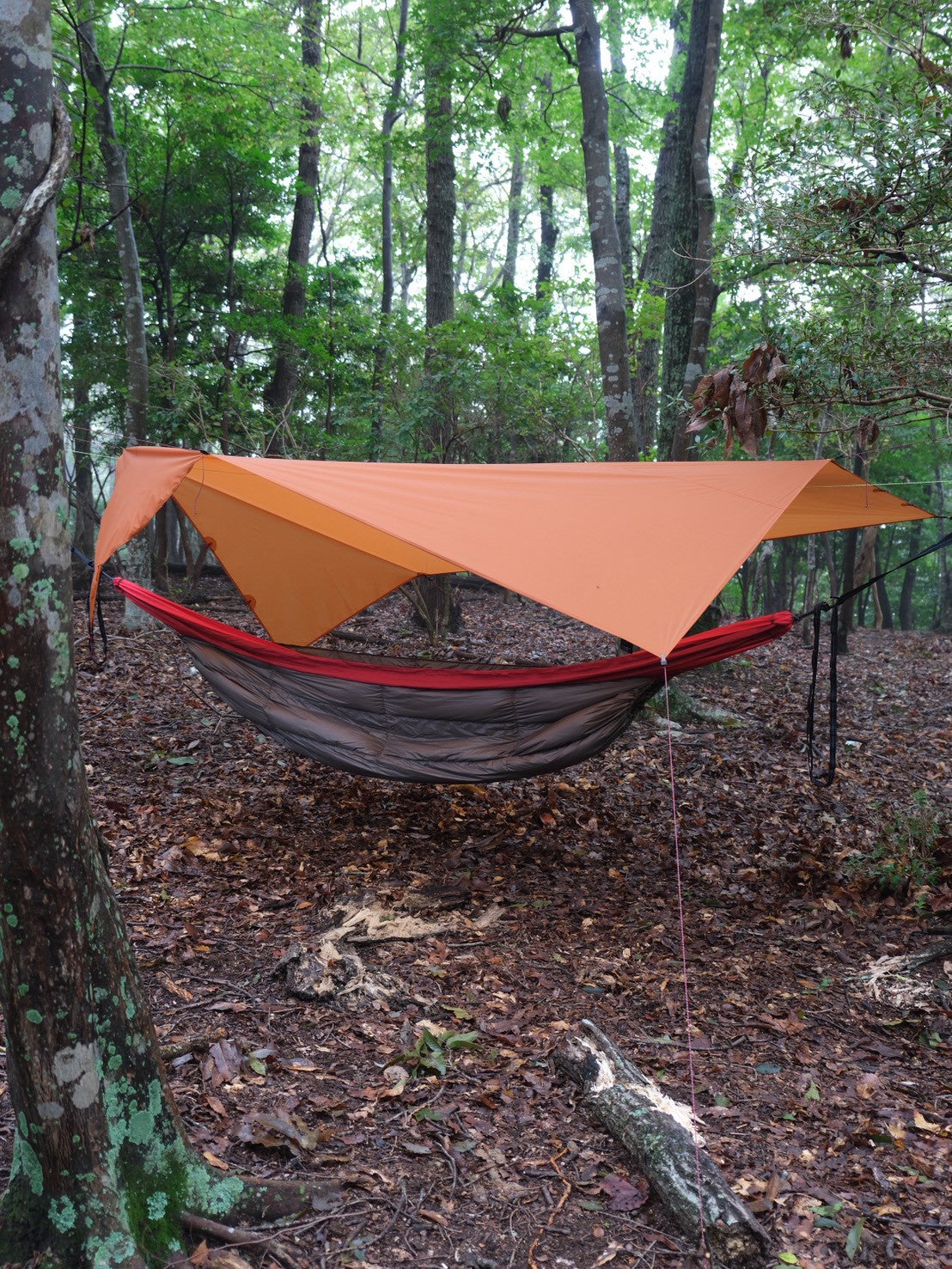 シノギング　12月28日(日) 8：00～16：00【イベント】