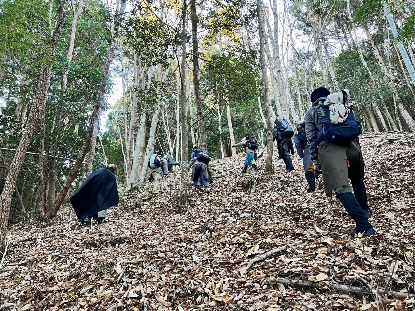 シノギング　12月28日(日) 8：00～16：00【イベント】