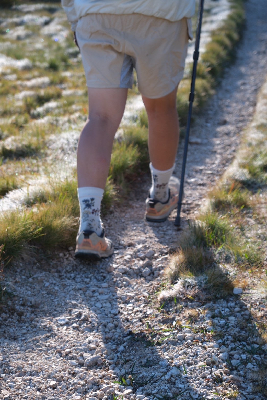 lace flower socks 高山植物図鑑【laceflowersocks】