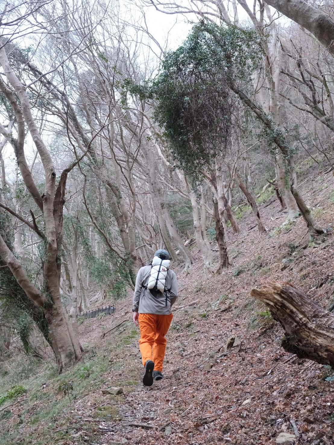 【イベント】修善寺八十八か所巡りをしてみよう！（前半の部）：2026年3月22日(日)
