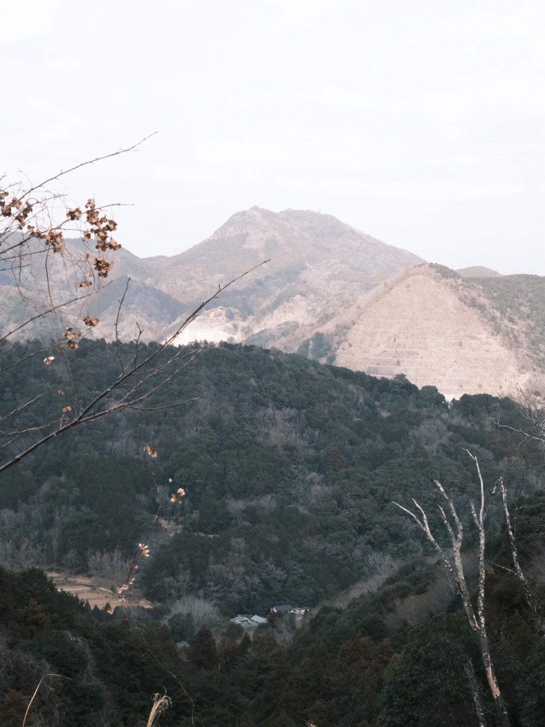 【イベント】修善寺八十八か所巡りをしてみよう！（前半の部）：2026年3月22日(日)