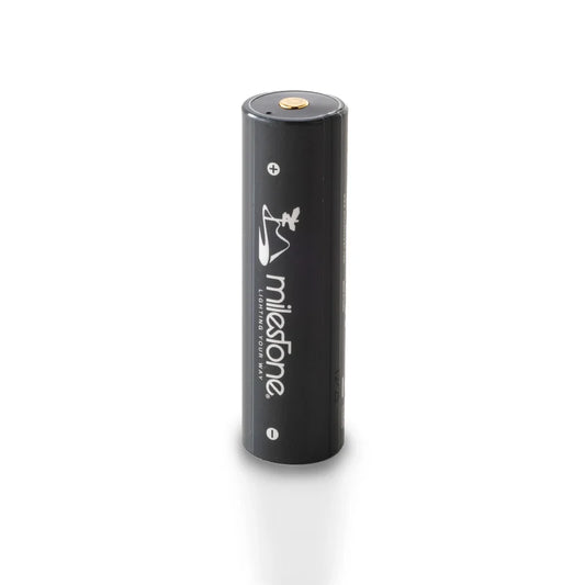 MS-LB4 “Smart Mobile Battery PRO”（MS-i2専用バッテリー。大容量のモバイルバッテリー利用も可）【milestone】