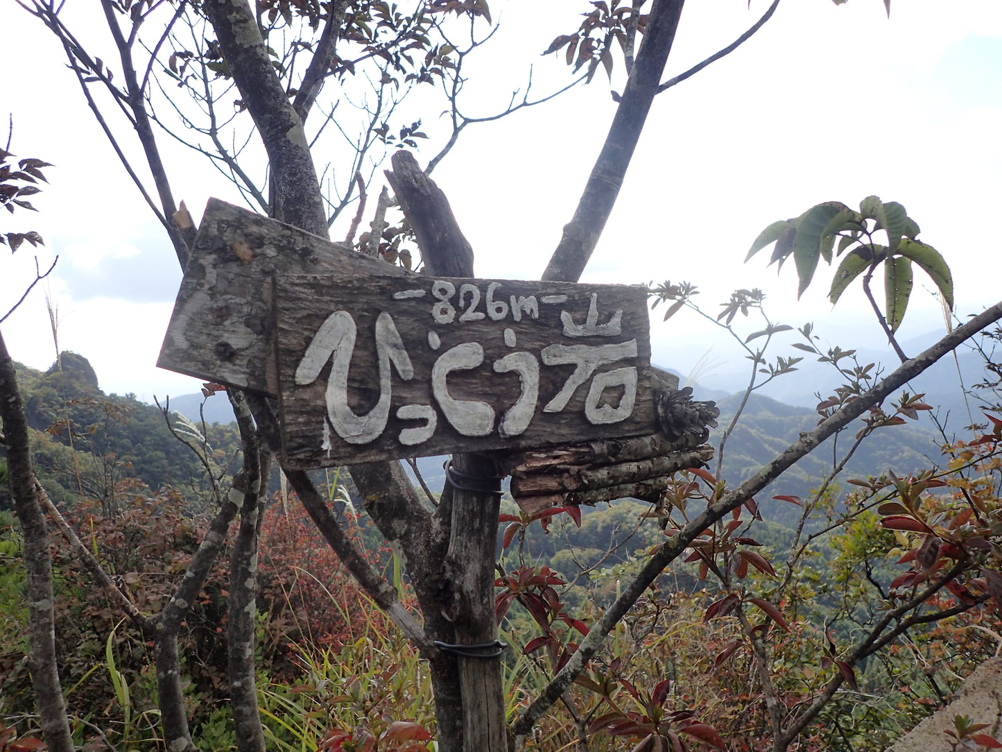 妙義山の地図にないルートを登ろう！岩登り　11月7日・8日（日帰り）【イベント】